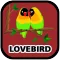Kicau Lovebird Mp3 Offline