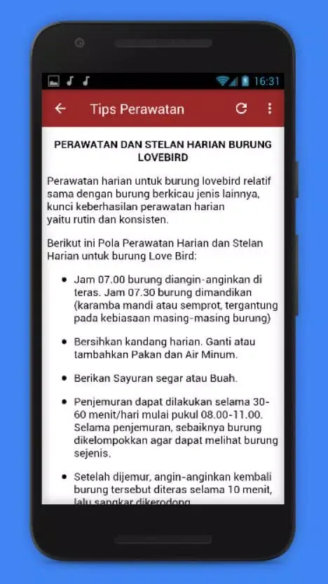 Kicau Lovebird Mp3 Offline Screenshots