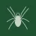 Solitaire / Spider