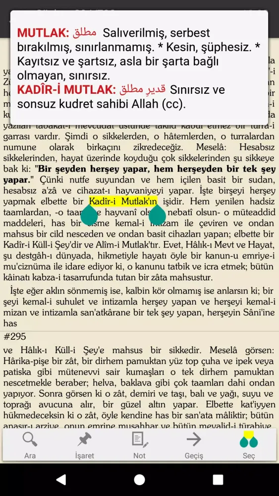 Risale-i Nur Okuma Programı Screenshots