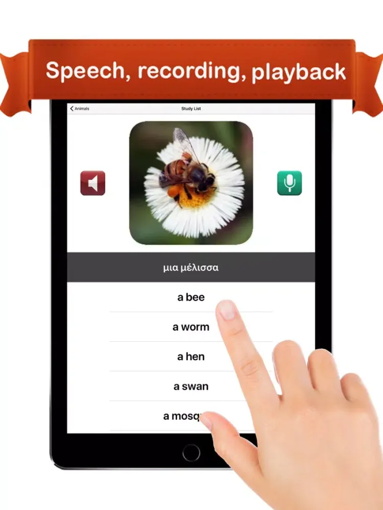 Learn Greek ™ iPad  سکرین شاٹس