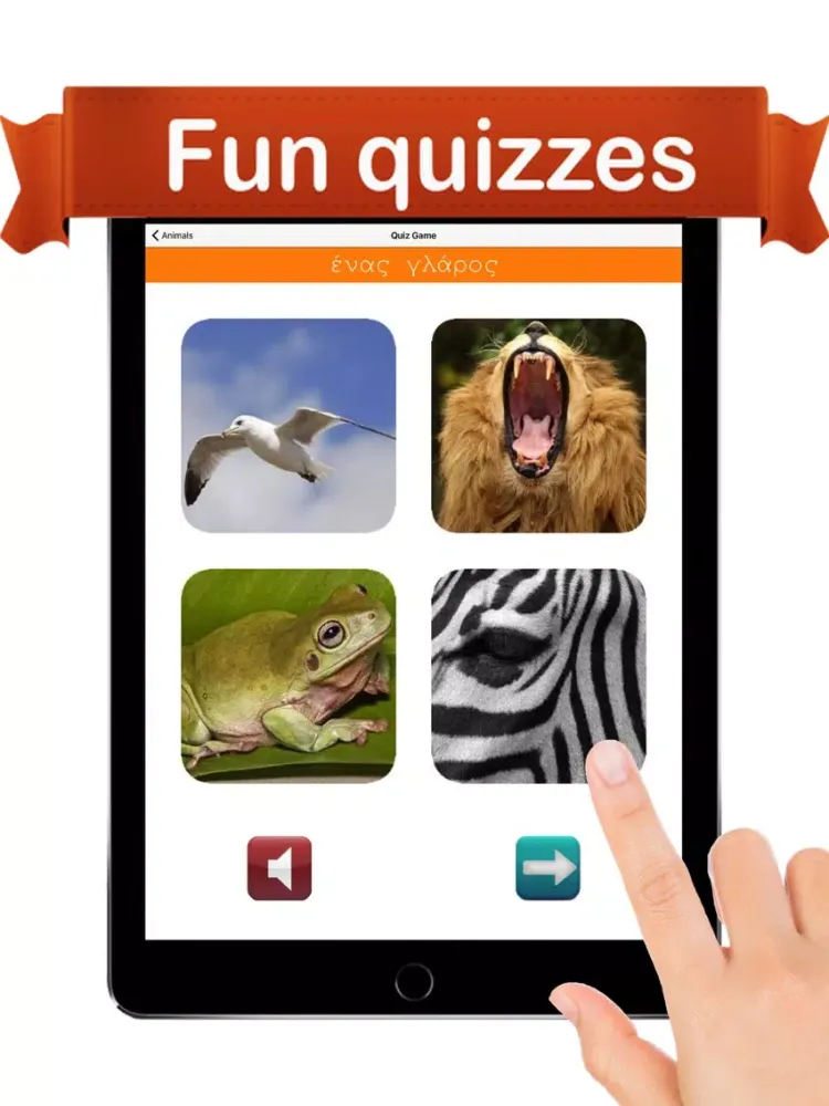 Learn Greek ™ iPad  سکرین شاٹس