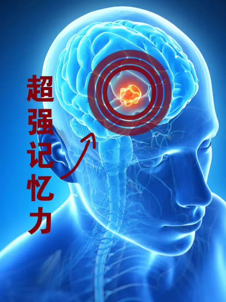 超强记忆力－挖掘记忆潜力 iPad  スクリーンショット