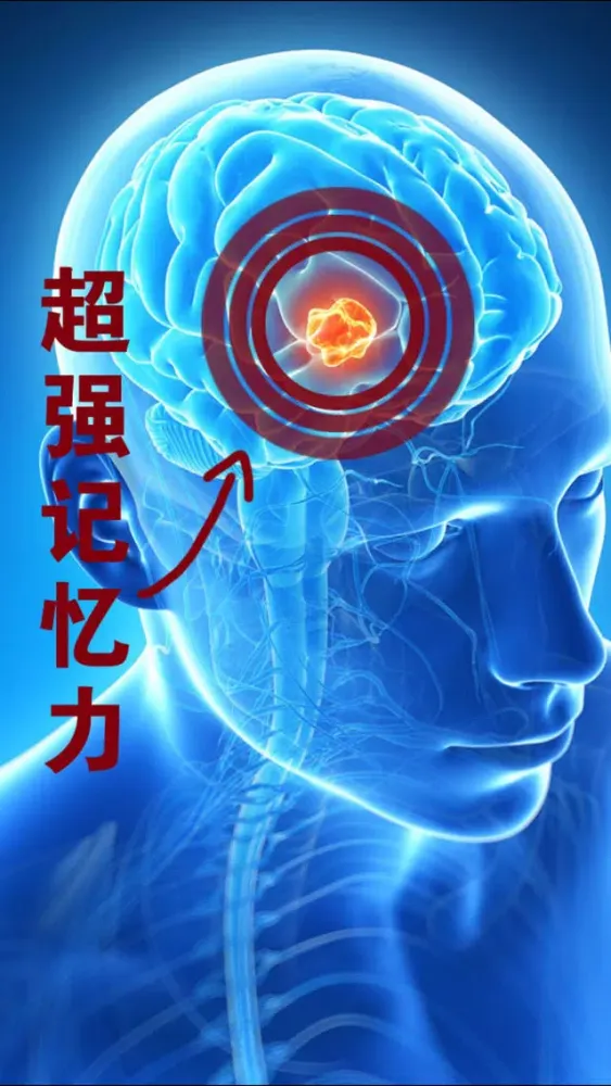 超强记忆力－挖掘记忆潜力 スクリーンショット