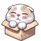 Daily Cat Emoticons