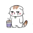 Cat Weeks