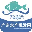 广东水产批发网