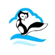 Cloud Fox i Cloud Fox i