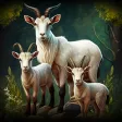 The Goat