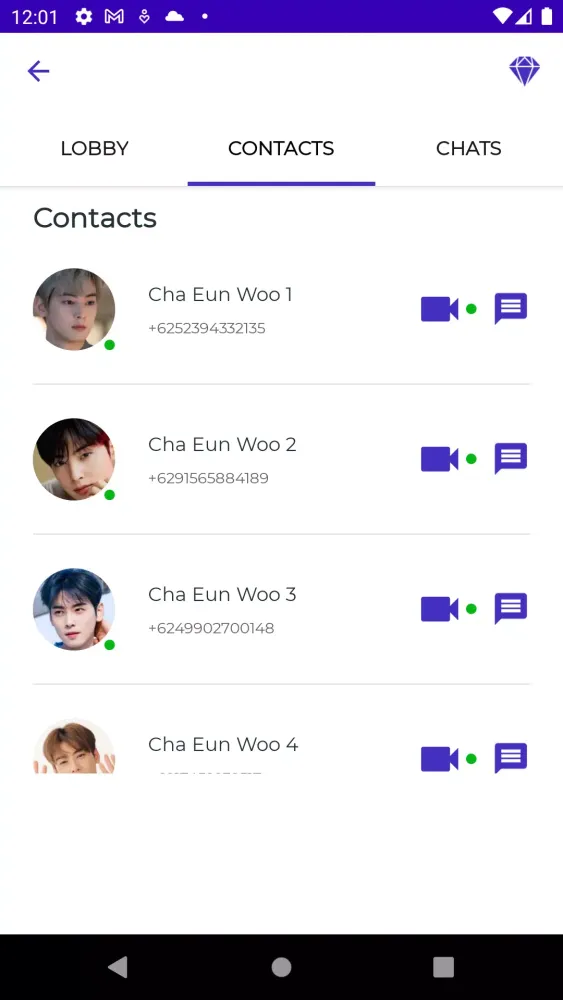 Cha Eun Woo Fake Video Call应用截图