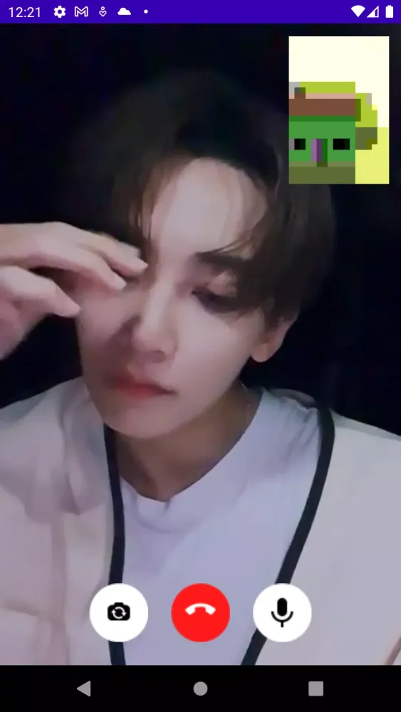 Seventeen Fake Video Call Screenshots