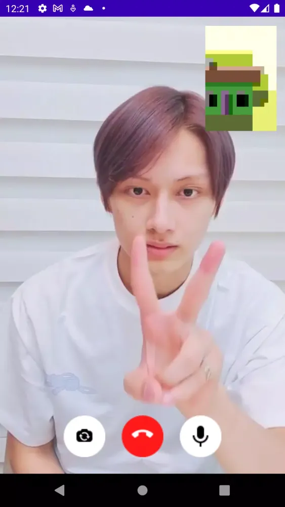 Seventeen Fake Video Call Screenshots