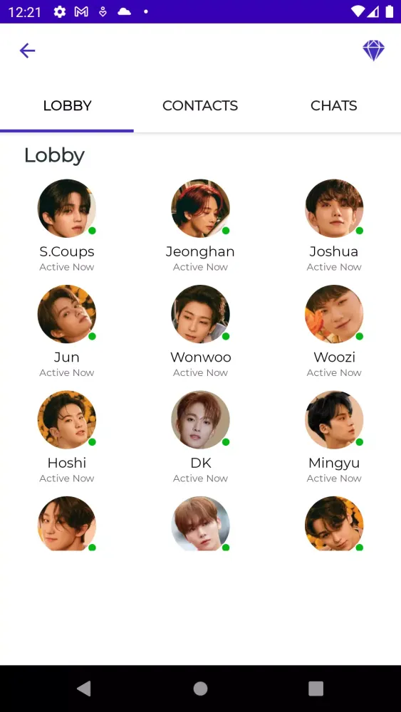 Seventeen Fake Video Call Screenshots