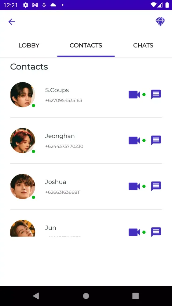 Seventeen Fake Video Call Screenshots