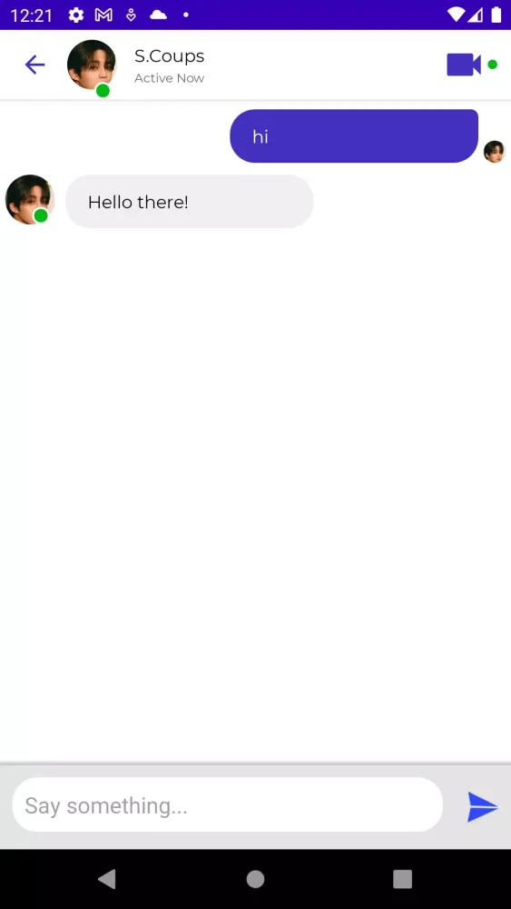 Seventeen Fake Video Call Screenshots