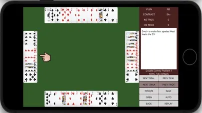 Capturas de pantalla de Double dummy problems