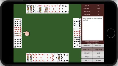 Capturas de pantalla de Double dummy problems