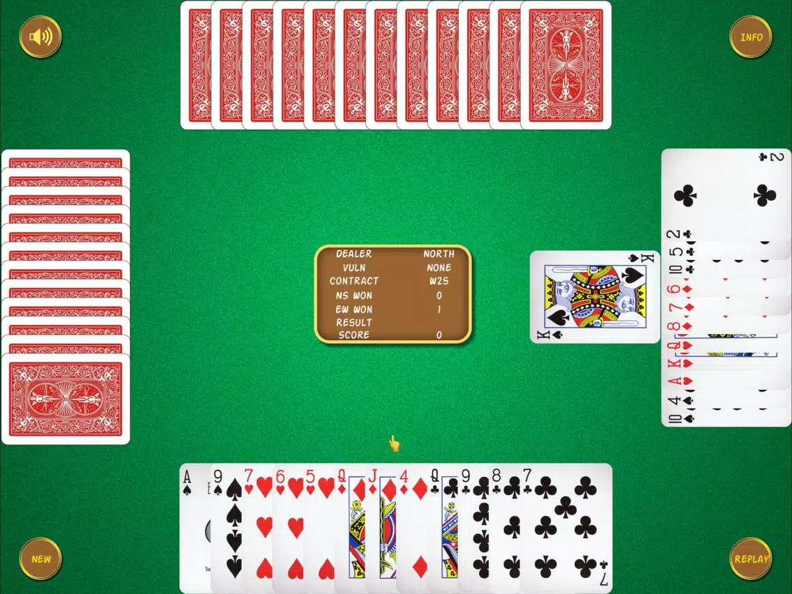 Mr Bridge iPad  스크린샷