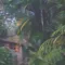 脱出ゲーム〜動物観察小屋の男たち〜