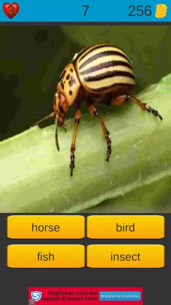 2nd Grade Spelling Games Screenshots