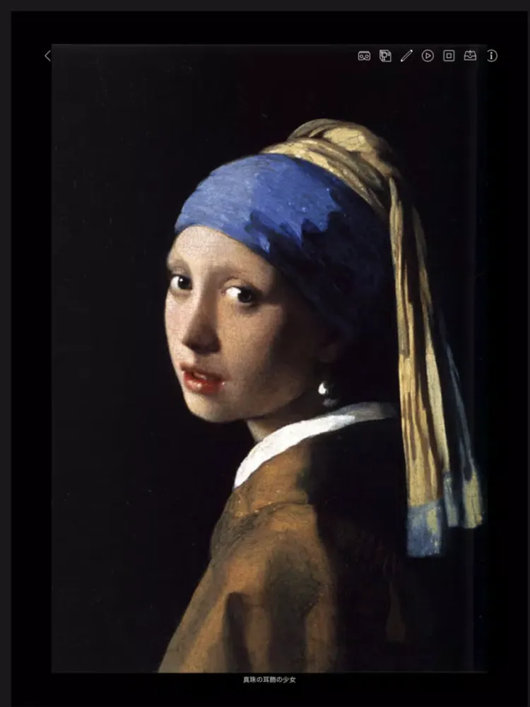 ภาพหน้าจอของ Vermeer AR Note iPad 