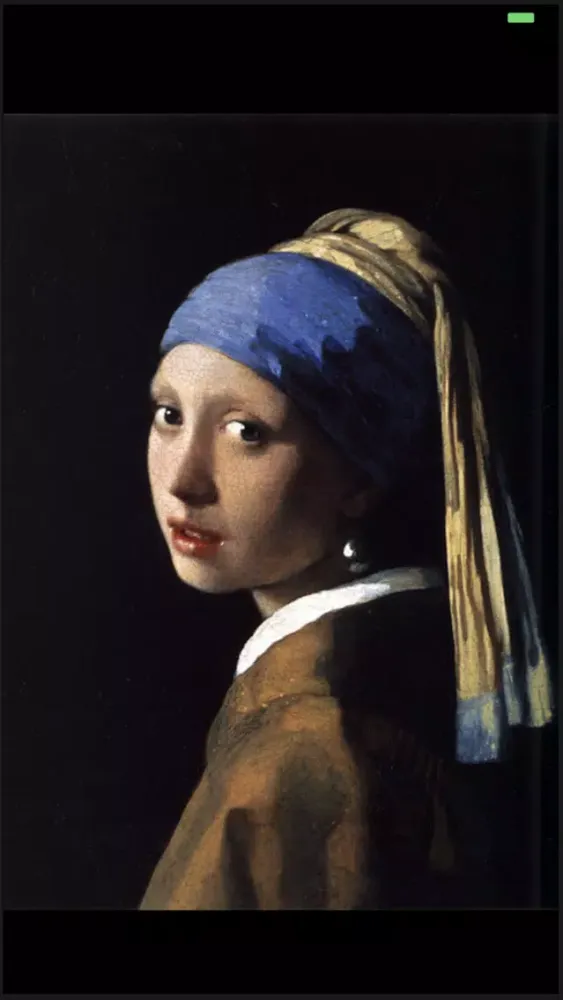 ภาพหน้าจอของ Vermeer AR Note