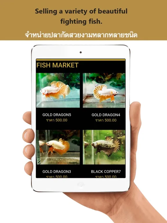 Zrzuty ekranu Goldenbetta iPad 