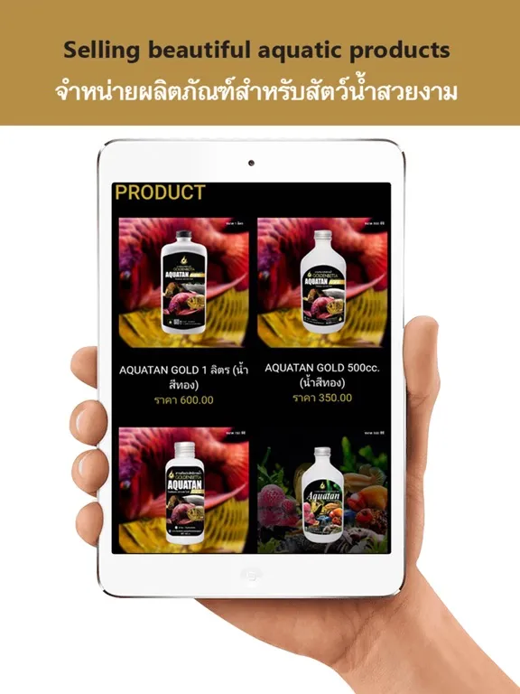 Zrzuty ekranu Goldenbetta iPad 
