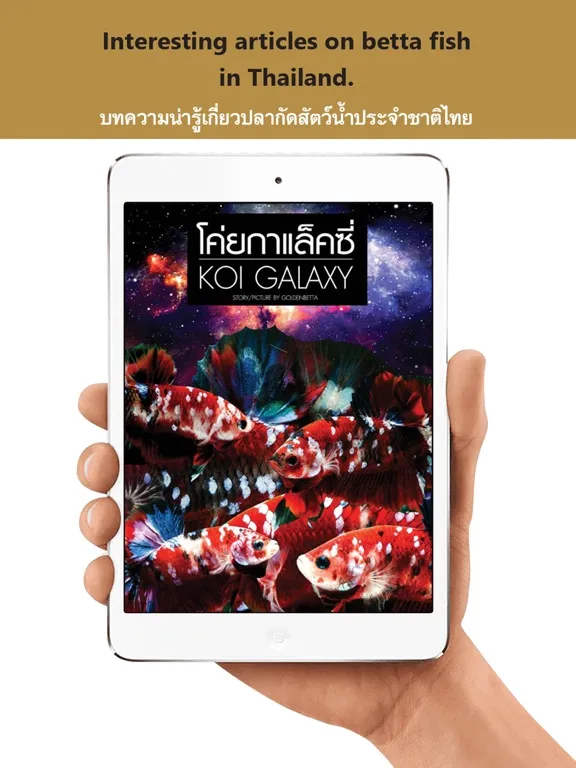 Zrzuty ekranu Goldenbetta iPad 