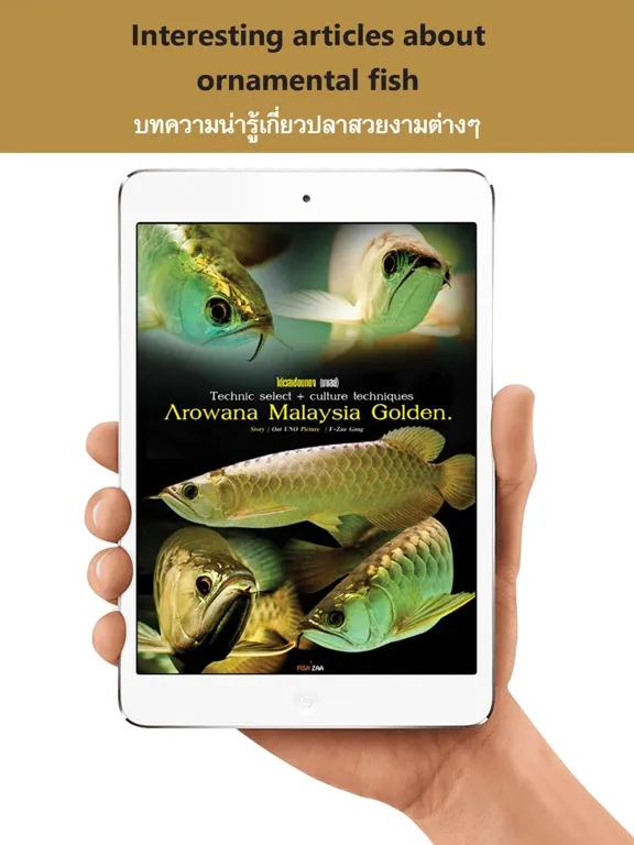 Zrzuty ekranu Goldenbetta iPad 