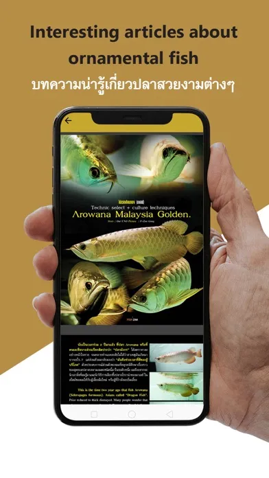 Zrzuty ekranu Goldenbetta