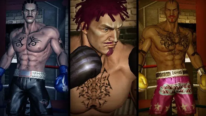 Zrzuty ekranu Punch Boxing 3D
