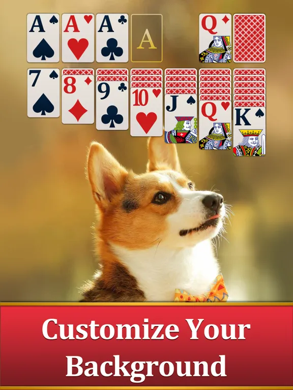 Classic Solitaire for Seniors iPad 应用截图