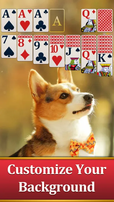 Classic Solitaire for Seniors应用截图