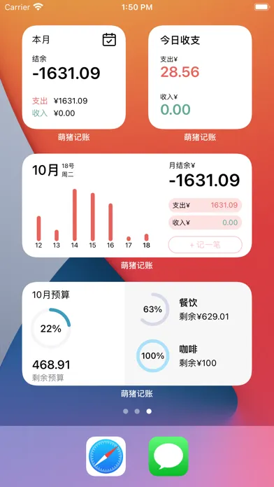 萌猪记账-随手简洁记账软件 سکرین شاٹس