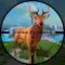 Wild Animal:Deer Hunting Games