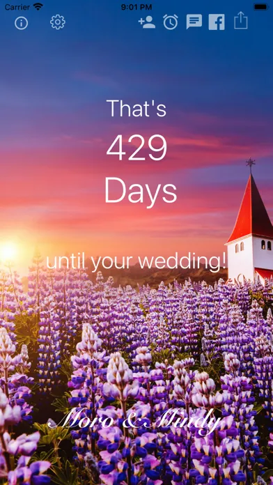 Wedding Countdown Widget 스크린샷