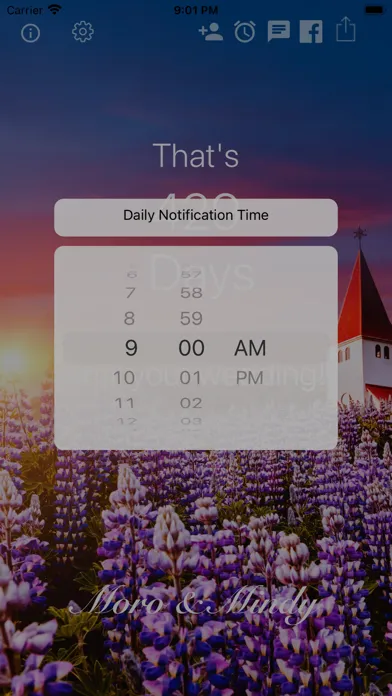 Wedding Countdown Widget 스크린샷