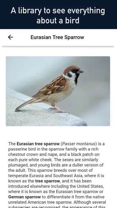 Bird Scanner - 10,000+ Birds 스크린샷