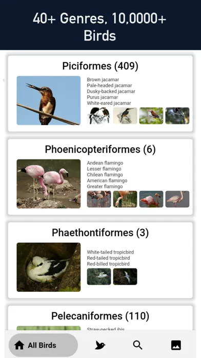 Bird Scanner - 10,000+ Birds 스크린샷