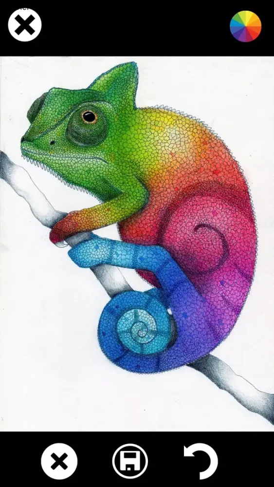 صور Sketch Transform - Create, Paint and Color