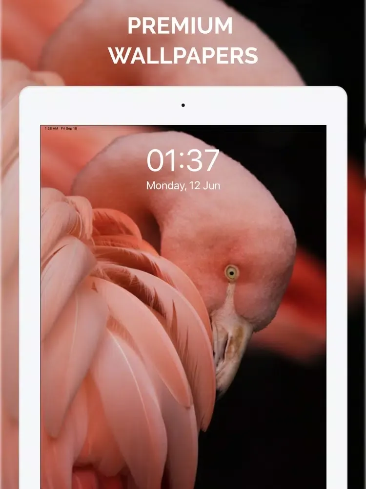 Captures d'écran de Pink Wallpapers & Themes iPad 