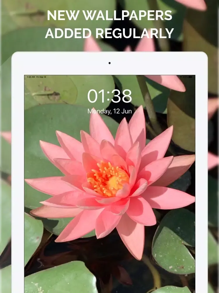 Captures d'écran de Pink Wallpapers & Themes iPad 
