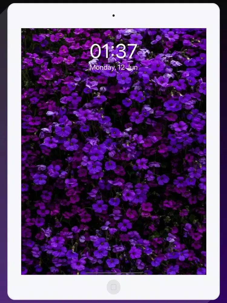 Captures d'écran de Pink Wallpapers & Themes iPad 
