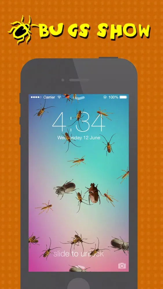 The Bugs Show স্ক্রিনশট