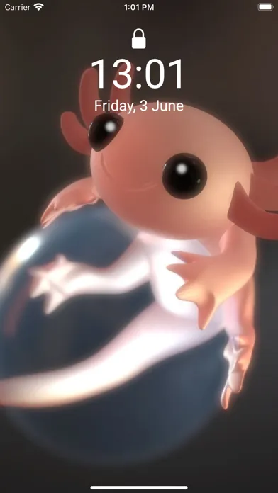 صور Cute Axolotl - Wallpapers.