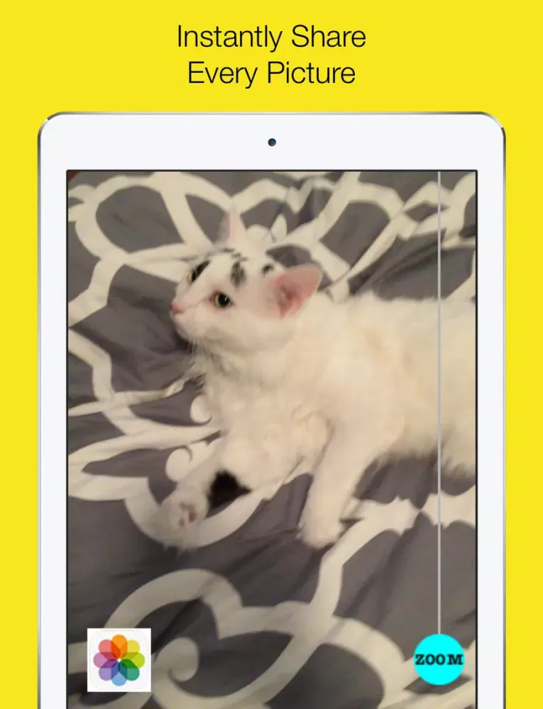 Capturas de pantalla de Dude, Send Me That Pic iPad