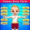 Body Parts