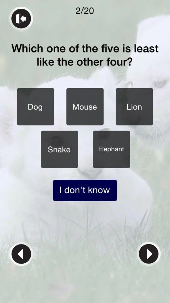 Zrzuty ekranu IQ Test 2014