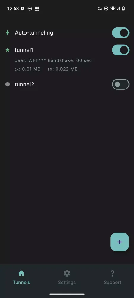 صور WG Tunnel